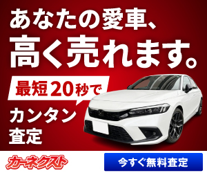 カーネクストで審査をしてみる