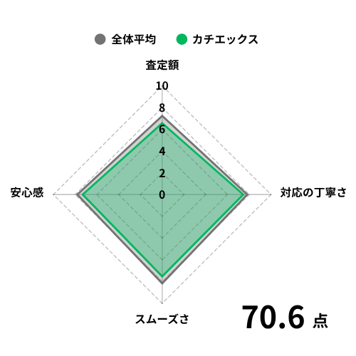 カチエックスの評価