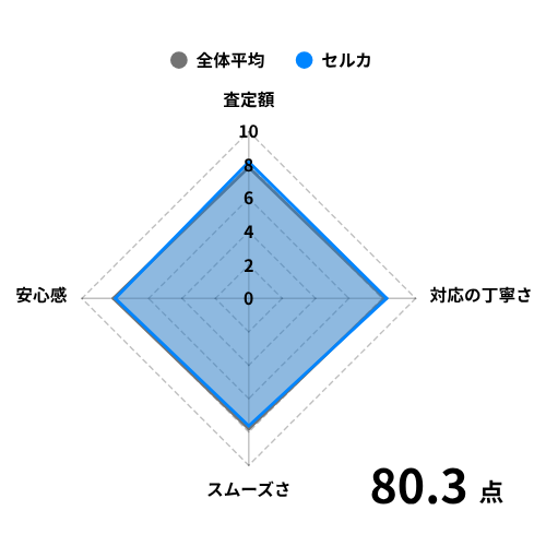 セルカの評価