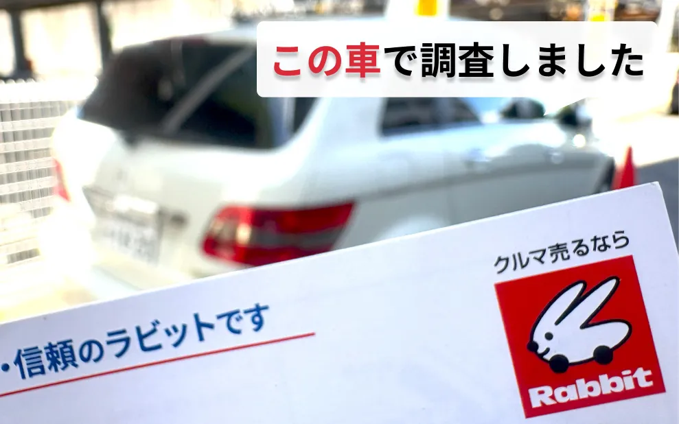 ラビット調査