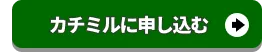 カチミルに申し込む