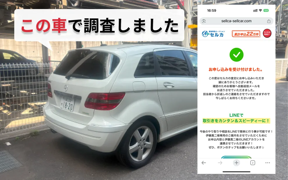 セルカ調査