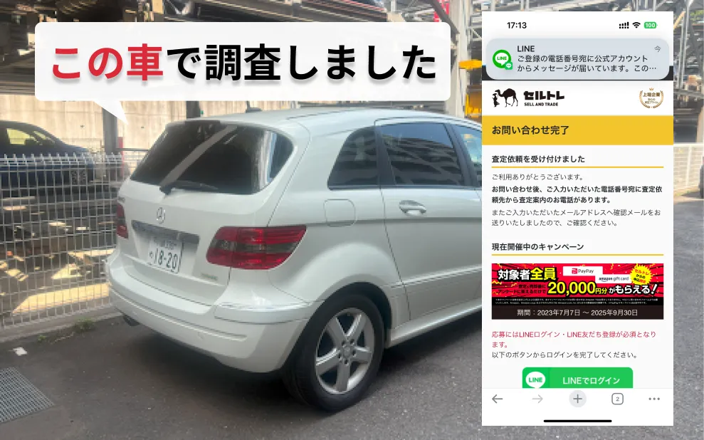 セルトレ調査