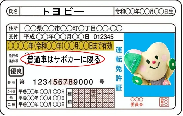 サポカー限定免許