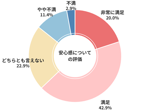 カチエックス安心感についての評価