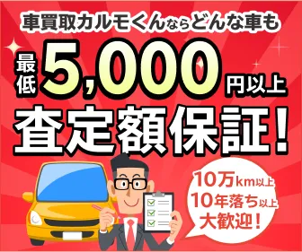 カルモくんに申し込む