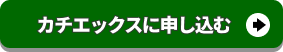 早速カチエックスに申し込む