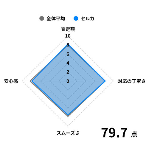 セルカの評価